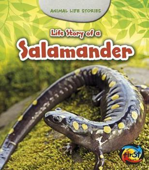 Paperback Life Story of a Salamander Book