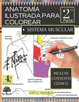 Paperback Anatom?a Ilustrada Para Colorear: 2? parte. SISTEMA MUSCULAR. Incluye contexto cl?nico. [Spanish] Book
