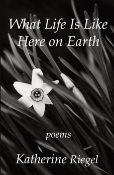 Paperback What Life Is Like Here on Earth Book