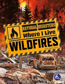 Paperback Wildfires Book