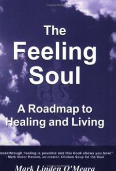 Paperback The Feeling Soul a Roadmap to Healing and Living Book