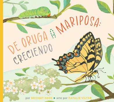 Library Binding de Oruga a Mariposa: Creciendo [Spanish] Book