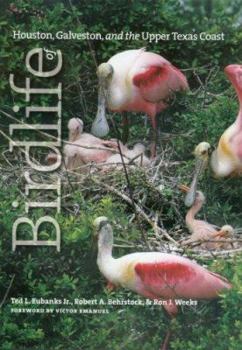 Hardcover Birdlife of Houston, Galveston, and the Upper Texas Coast Book