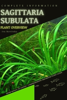 Sagittaria subulata: From Novice to Expert. Comprehensive Aquarium Plants Guide