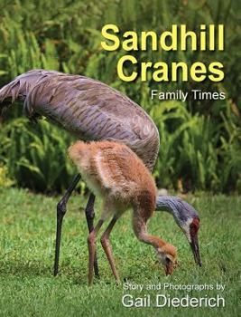 Hardcover Sandhill Cranes, Family Times Book