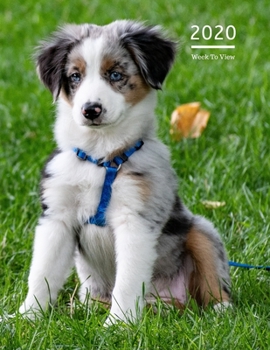 2020 A4 Diary Week To View Planner For All Occasions: | Year Planner For Business, Office, Home, University, College, School, Appointments, Organizer.