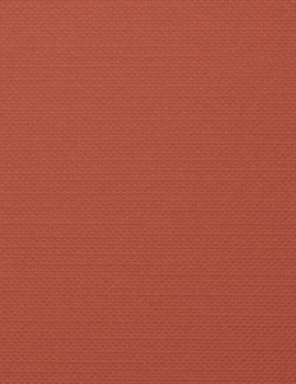 Notebook: 8.5 x 11 inches, lined paper, 110 pages (orange notebook/journal/composition book).