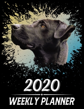 2020 Weekly Planner: Weekly & Monthly 2020 Planner Jan 1 2020 to Dec 31 2020 With Calendar Views, 1 Year Planner + Important Holiday Dates, Great Dane Dog Cover