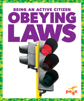 Paperback Obeying Laws Book