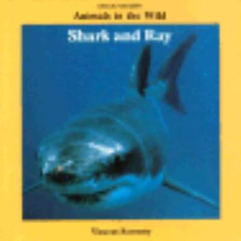 Paperback Shark and Ray: Animals in the Wild Book