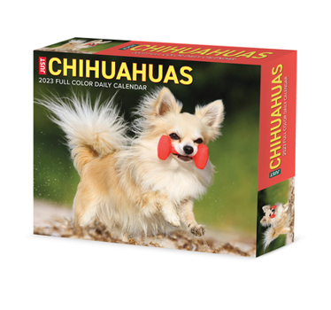 Calendar Chihuahuas 2023 Box Calendar Book