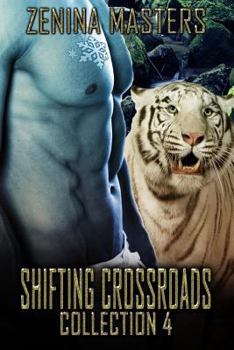 Shifting Crossroads Collection #4 - Book  of the Shifting Crossroads