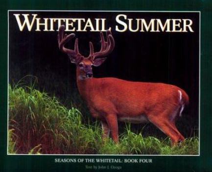 Hardcover Whitetail Summer Book