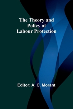 Paperback The Theory and Policy of Labour Protection Book