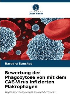 Paperback Bewertung der Phagozytose von mit dem CAE-Virus infizierten Makrophagen [German] Book