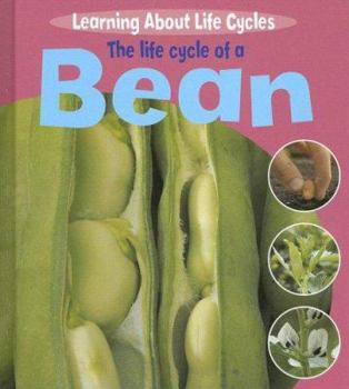 Library Binding The Life Cycle of a Bean Book
