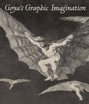 Hardcover Goya's Graphic Imagination Book