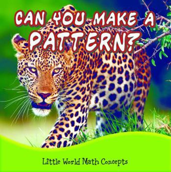 Paperback Can You Make a Pattern? Book