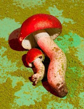 Mushrooms and Friends 1