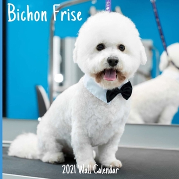 Bichon Frise 2021 Wall Calendar: Bichon Frise 2021 Calendar, 18 Months.
