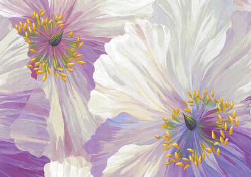 Gift Poppies in Bloom Note Cards (14 Cards, 15 Self-Sealing Envelopes) Book
