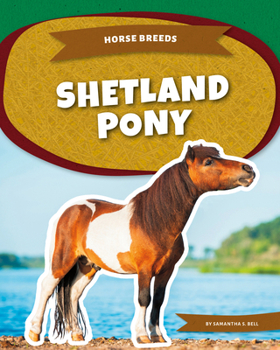 Library Binding Shetland Pony Book