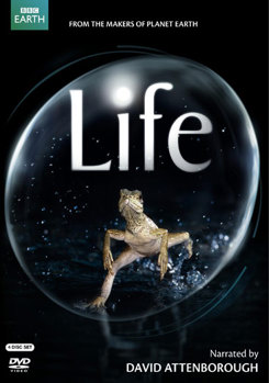 DVD Life (British Version) Book