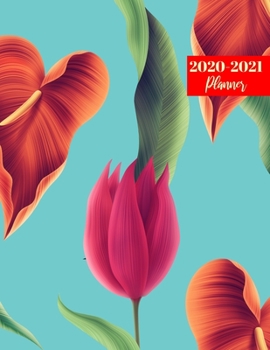 2020-2021 Planner: Nice 2 Year Calendar 2020-2021 Daily, Weekly & Monthly | 24 Months Agenda Personal Appointment
