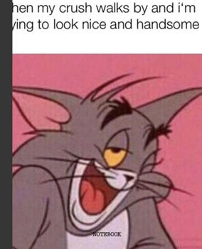 Notebook: Cartoon Tom and Jerry Soft Glossy Cover Graph Paper Pages Book 7.5 x 9.25 Inches 110 Pages