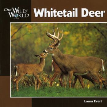Paperback Whitetail Deer Book