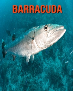 Paperback Barracuda: Super Fun Facts And Amazing Pictures Book