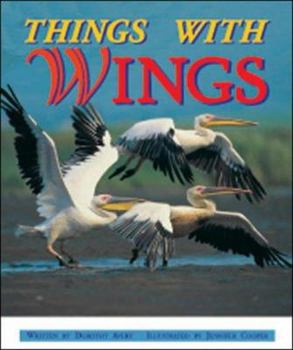 Paperback Things with Wings: Setting Sun (Storyteller Non-fiction) Book