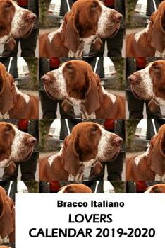 Paperback Bracco Italiano Lovers Calendar 2019-2020 Book