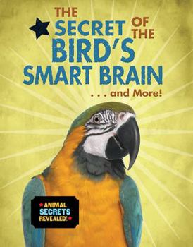 Library Binding The Secret of the Bird's Smart Brain...and More! Book