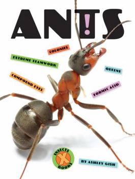 Paperback Ants Book