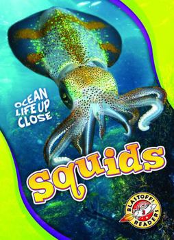 Squids - Book  of the Ocean Life Up Close