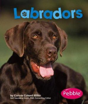 Hardcover Labradors Book