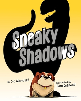 Hardcover Sneaky Shadows Book