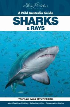 Paperback Sharks and Rays Book