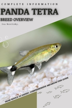 Panda Tetra: From Novice to Expert. Comprehensive Aquarium Fish Guide