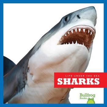 Sharks - Book  of the Life Under the Sea