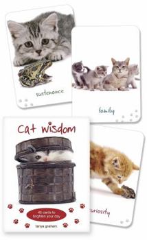 Cat Wisdom Cards