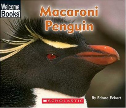 Paperback Macaroni Penguin Book
