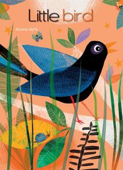 Board book Little Bird Book