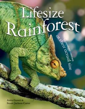 Hardcover Lifesize: Rainforest: See Rainforest Creatures at Their Actual Size Book