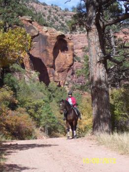 Unknown Binding Riding Colorado II: Day Trips from Denver with Your Horse Book