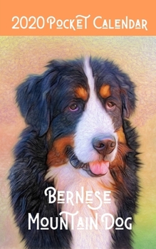 2020 Pocket Calendar Bernese Mountain Dog: Mini Daily Weekly Monthly Yearly Planner for Bernese Mountain Dog Owner Lovers