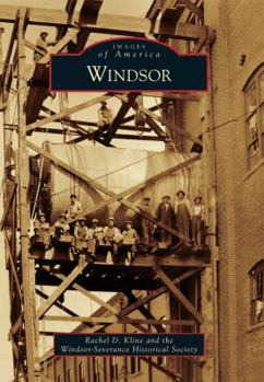 Paperback Windsor Book