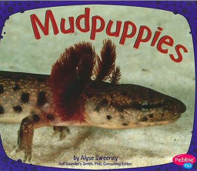 Library Binding Mudpuppies Book