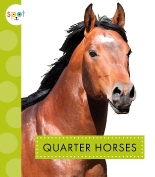 Paperback Quarter Horses Book